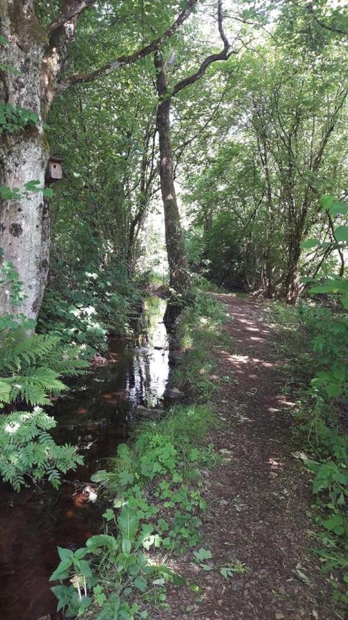 Ferienwohnung Am Gaesschen Losheim am See Zewnętrze zdjęcie